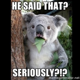 koala -seriously